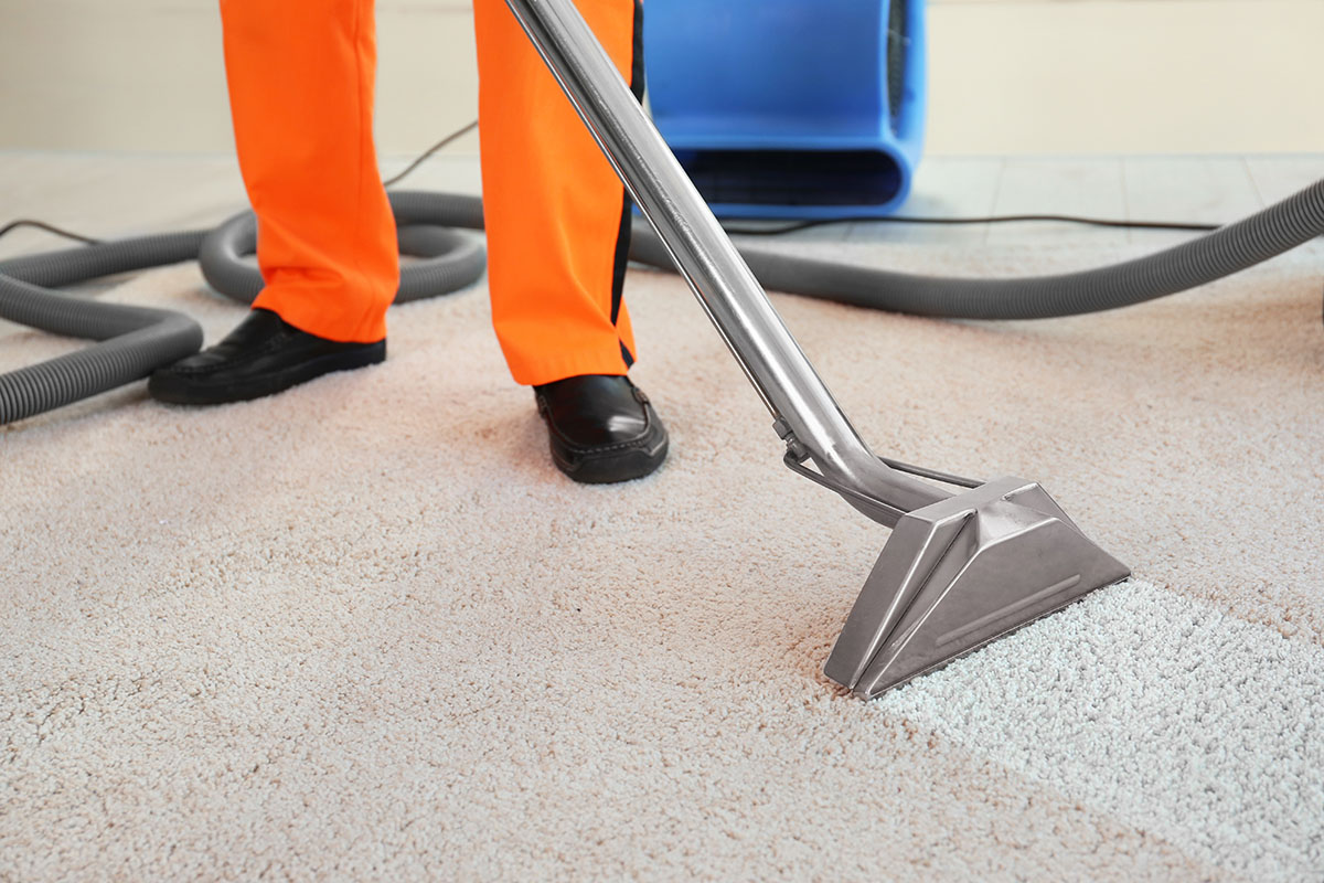 Best Carpet Cleaning in Nortern Virginia - Shiny Carpet Cleaning