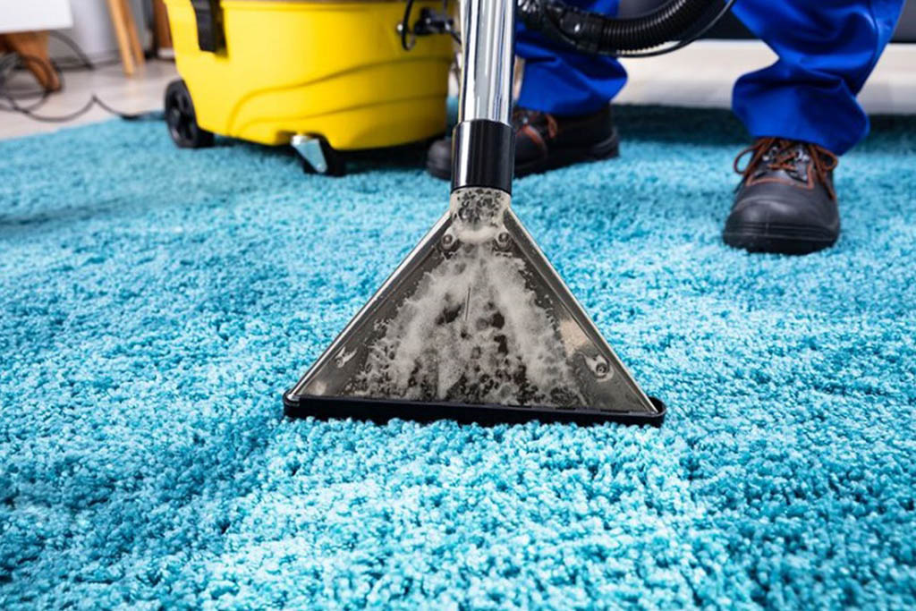 5 Important Questions To Ask A Commercial Carpet Cleaning Company