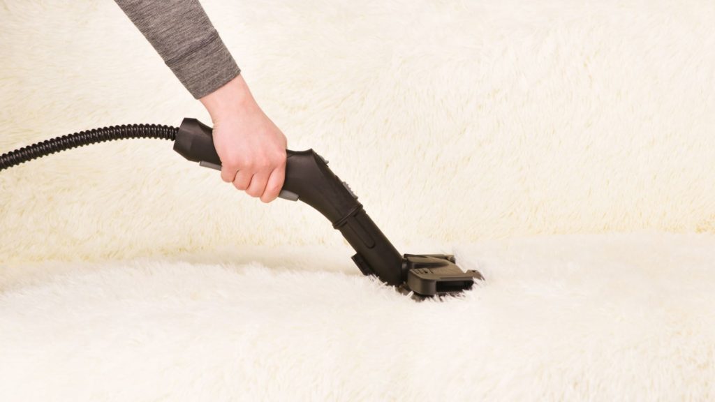 How Much Does Professional Upholstery Cleaning Cost? 2022 Latest Prices