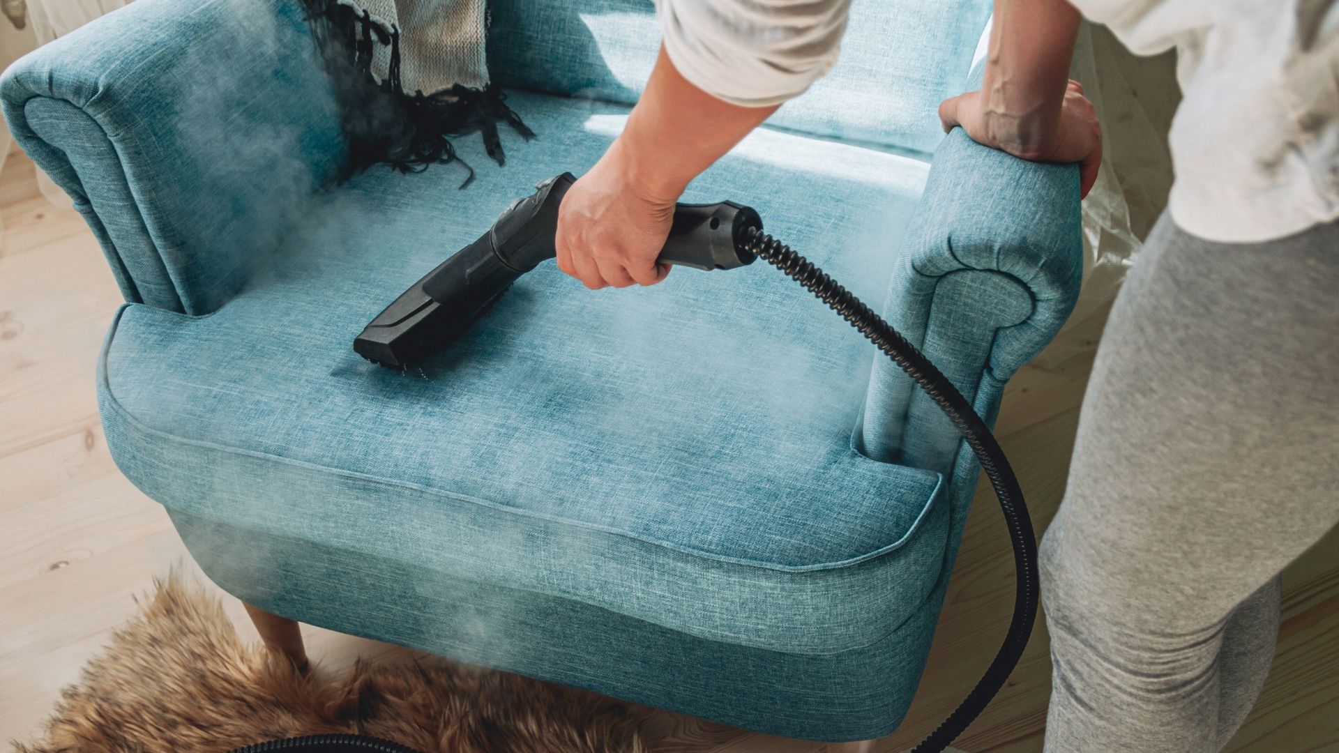 10 Best Upholstery Cleaners in 2022 - Upholstery & Fabric Cleaners