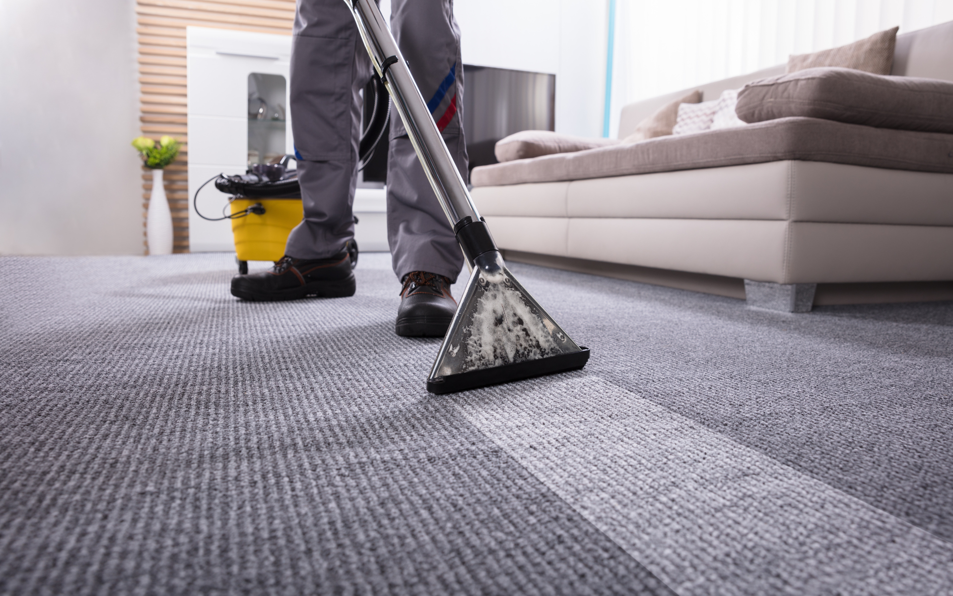 What Are Average Carpet Cleaning S