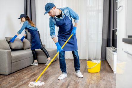 Apartment Cleaning Tips Keeping Your Home Fresh and Organized