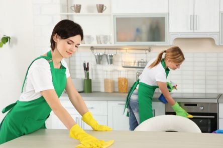 Kitchen Cleaning Tips Your Guide to a Sparkling Space