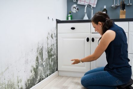 The Hidden Health Hazards of Untreated Water Damage and Mold